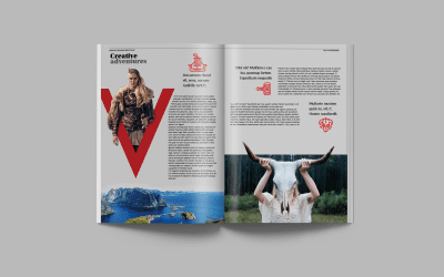 Viking magazine
