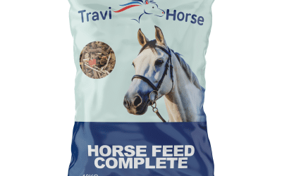 Logo Travi Horse